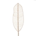 Pobočka Bambus Ratan List 30 x 2 x 200 cm