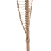 Gren Bambus Spanskrør Ark 30 x 2 x 200 cm