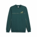 Sweaters uden Hætte til Mænd Puma ESS+ Minimal Gold Cr Mørk grøn