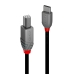 Kabel USB C v USB B LINDY 36942 Črna 2 m