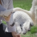 Handske för att Borsta och Massera Husdjur från Relpet InnovaGoods