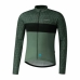 Férfi Sport kabát Shimano Vertex Printed Zöld