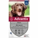 Pipett för hundar Advantix 25-40 Kg