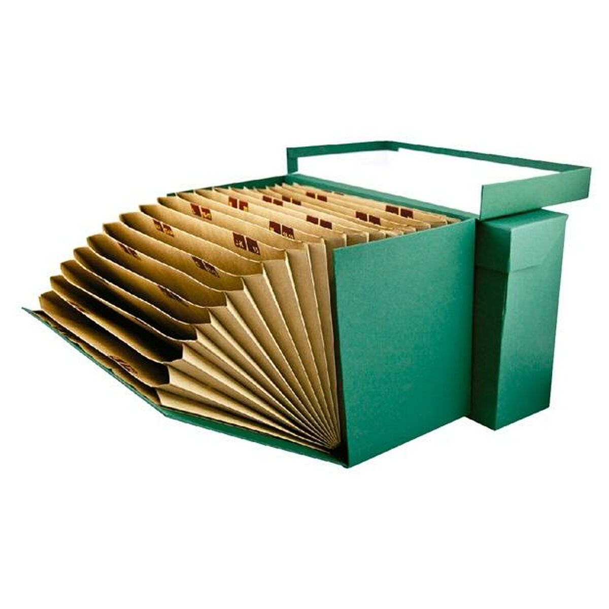 Dosar Mariola Verde Foaie