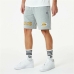 Sports Shorts New Era LA Lakers Grey