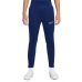 Спортивные штаны для детей Nike Dri-FIT Academy Темно-синий