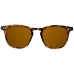 Unisex Sunglasses Northweek Wall Tortoise Brown Tortoise (Ø 45 mm)