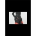 Ski Trousers Picture Seen Coral Black