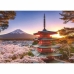 Pusle Ravensburger 17090 Mount Fuji Cherry Blossom View 1000 Tükid, osad