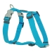 Dog Harness Red Dingo Smooth 25-39 cm Turquoise