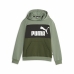 Kinder-Sweatshirt Puma Ess Block Fl grün