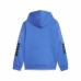 Children’s Sweatshirt Puma Power Colorblock Blue