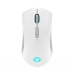 Ποντίκι Lenovo GY51C96033 Λευκό