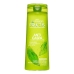 Anti-dandruff Shampoo Fructis Garnier 8411300017711 (360 ml) 360 ml