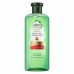 Šampon Herbal Botanicals Aloe & Mango (380 ml)