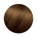 Permanent hårfarge Phyto Paris Phytocolor 6.3-rubio oscuro dorado Nº 6.3-rubio oscuro dorado