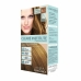 Permanent hårfarge - krem Clearé Institute Colour Clinuance Nº 6.3-rubio oscuro dorado (1 enheter)