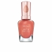 Lak na nechty Sally Hansen Color Therapy Nº 300 14,7 ml