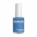 Vernis à ongles Andreia Professional Hypoallergenic Nº 06 (14 ml)