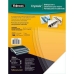 Bindkaften Fellowes 53762 Transparant A4 PVC Plastic (100 Stuks)
