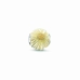 Dámské korálky Thomas Sabo K0200-007-4 Zlatá Stříbřitý (1 cm)