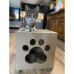 Αποξέστη για Γάτες Carton+Pets Netti Αργυρό Χαρτόνι 35 x 35 x 35 cm