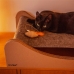 Hamac Suspendu pour Chats Carton+Pets Mia Gris