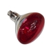 Infrared light bulb Philips 923212043801 250 W E27