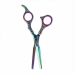 Hair scissors Zainesh Professional 6