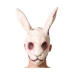 Mask White Rabbit Halloween