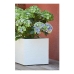 Βάζο Λουλουδιών EDA Λευκό Πλαστική ύλη 5 cm