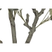 Дърво Home ESPRIT полиетилен Цимент Евкалипт 80 x 80 x 220 cm