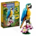 Playset Lego Creator 31136 Exotic parrot with frog and fish 3 in 1 253 Stücke