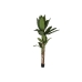 Διακοσμητικό Φυτό Home ESPRIT πολυαιθυλένιο Τσιμέντο Mπανάνα 90 x 90 x 290 cm