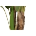 Decoratieve plant Home ESPRIT Polyethyleen Cement Bananenplant 90 x 90 x 290 cm