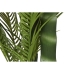 Dekorativ växt Home ESPRIT Polyetylen Cement Palmträd 100 x 100 x 235 cm