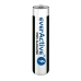 Batterier EverActive LR03 1,5 V AAA (10 antal)
