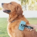 Rensebørste til kæledyr med optrækkelige børster Groombot InnovaGoods
