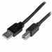 Câble USB A vers USB B Startech USB2HAB65AC          Noir