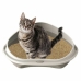 Ящик для кошачьего туалета Georplast GP10535 50 x 40 x 17 cm (7 штук)