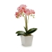 Декоративное растение Орхидея 20 x 47 x 33 cm Пластик (4 штук)
