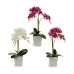 Plantă decorativă Orhidee 20 x 47 x 33 cm Plastic (4 Unități)