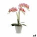 Dekorativní rostlina Orchidej Plastické 20 x 49 x 26 cm (4 kusů)