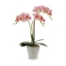 Dekorativní rostlina Orchidej Plastické 20 x 49 x 26 cm (4 kusů)