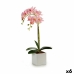 Dekor növény Orchidea 18 x 47 x 14 cm Műanyag (6 egység)