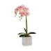 Dekorativ plante Orkide 18 x 47 x 14 cm Plastik (6 enheder)