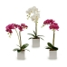 Dekor növény Orchidea 18 x 47 x 14 cm Műanyag (6 egység)