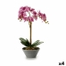 Dekorativní rostlina Orchidej 16 x 48 x 28 cm Plastické (4 kusů)