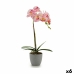 Plantă decorativă Orhidee Plastic 13 x 39 x 22 cm (6 Unități)