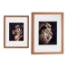 Картина Тигр Лев Стеклянный Бронзовый ДСП (33 x 3 x 43 cm)